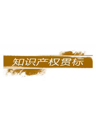 ����������֪ʶ��Ȩ����ҵ�ĳ�Ҫ�ԡ���ɽ�������Ѿ���ͷ�ж��ˣ�������ҵ֪ʶ��Ȩ���ϵͳ��������ҵ��ˣ���